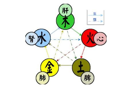 木的五行|五行（对万事万物的取象比类）